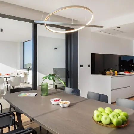 Old Olive Vi By Vivi Rent Villa Vodnjan