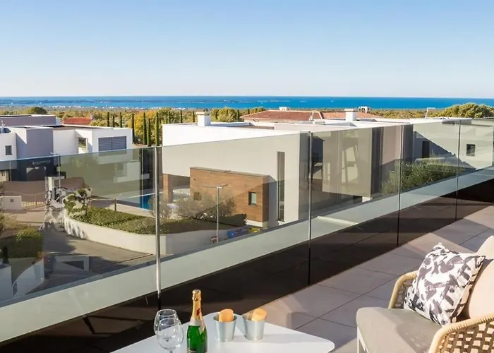 Old Olive Vi By Vivi Rent *